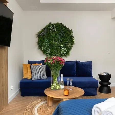 Movo Underwall Old Town